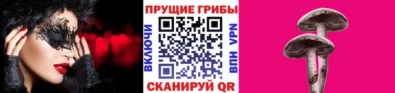 Купить  Сретенск  Псилоцибиновые грибы мухоморы 